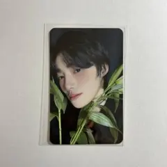 THEBOYZ ニュー minirecord トレカ ドボイズ ヨントン