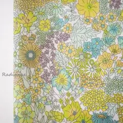 Item thumbnail for item eaf8bf20-404a-4c31-b944-9ab089d0457a