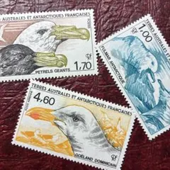 azure様 リクエスト 2点 まとめ商品