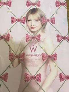 ウォンジョンヨ 　モモ　クリアファイル