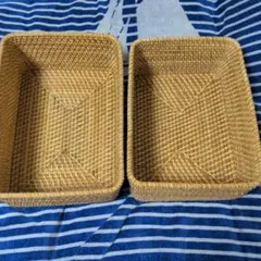 希少 柳行李 2個セット 特大サイズと小 昭和レトロ 柳ごおり - メルカリ
