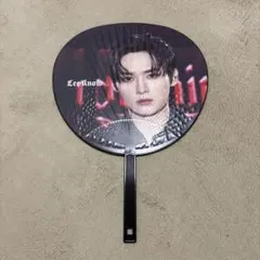 straykids リノ dominate うちわ