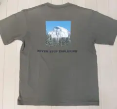 THE NORTH FACE Tシャツ カーキ バックプリント Sのサムネイル