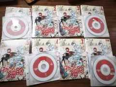 2026年最新】はたらく細胞 dvd 全巻の人気アイテム - メルカリ