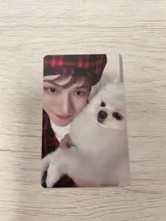 BOYLIFE リウ タワレコ ラキドロ トレカ boynextdoor