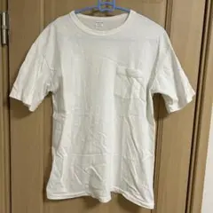ENTRY SG. コットン100% ホワイト Tシャツ Lのサムネイル