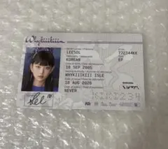 KiiiKiii Whykiiikiii イソル　guide book 封入