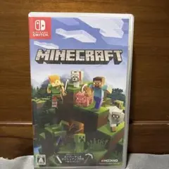 Minecraft Nintendo Switch版