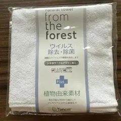 【新品】ミニタオル　ホワイト 匿名配送