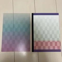 鬼滅の刃　胡蝶しのぶ　b5 クリアファイルとノート 2枚セット