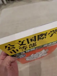 Item thumbnail for item 770d76c0-a995-4e01-886f-ea70c1be9794