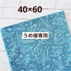 うめ様 リクエスト 2点 まとめ商品