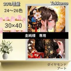 No.3468 Tokkuma【26色】ダイヤモンドアート キット - メルカリ