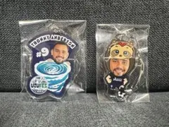 徳島ボルティス トレーニングウェア上下 ピステ ASICS アシックス ピステ 上下 メンズ asics A-I-M はっ水 長袖