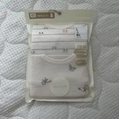 Item thumbnail for item 4324337e-7bcb-4561-b468-8caa64a34b18