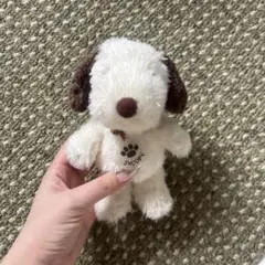 【即購入可】スヌーピー ぬいぐるみ　ユニバ　USJ