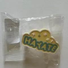 Item thumbnail for item 0f2f123a-d700-4632-b930-20a81db0ffad