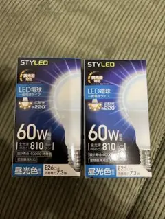 STYLED LED電球 60W相当 E26 昼光色 2個セット