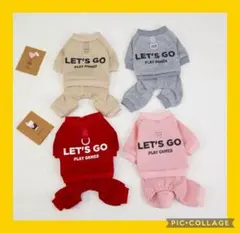 わんちゃんオシャレ英文字ロンパース