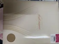 LEGMAKING SYMMETRY 着圧ストッキング ブラック＆シアーベージュ