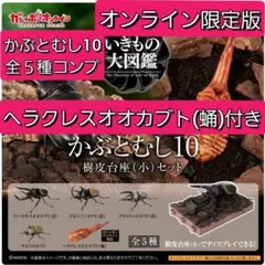 いきもの大図鑑 かぶとむし10 オンライン版　コンプ　ヘラクレスオオカブト　蛹
