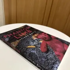 Phantom Limb Lucinda Berry 洋書