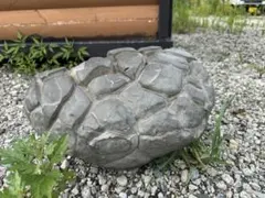 鑑賞石　水石　亀甲石　産地不詳　直径約34cm　厚み約10cm 重さ18kg 鑑賞石 水石 亀甲石 産地不詳 直径約34cm 厚み約10cm 重さ18kg - メルカリ