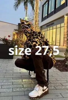 Nike スニーカー ホワイト/ブラウン travis