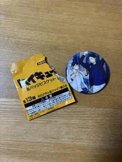 ハイキュー！！缶バッジビスケット