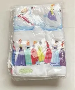 Item thumbnail for item 2f5098f4-1a6f-4d6c-aa13-d8b4536b647d