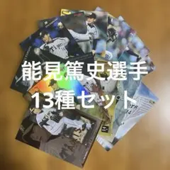 プロ野球チップスカード等能見篤史選手13種まとめセット(キラ8種、ノーマル5種)