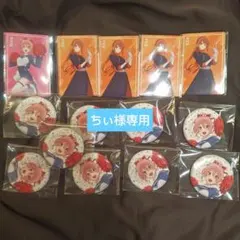 からぴちファンミーティング2026 のあさん×9 特典カード 缶バッジ