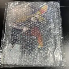 Item thumbnail for item b4998325-1b19-4fa0-93d7-27029922982a