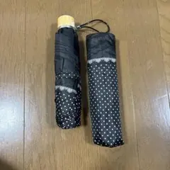 Item thumbnail for item 69158e94-1a3b-467b-bde5-f78e89385309