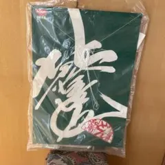 Item thumbnail for item 264412d4-376a-4809-b17f-c62b36d36afb