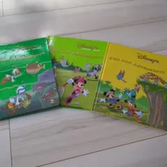 Item thumbnail for item 2803d972-8c13-4b1d-b5ff-653ddd4fca1c