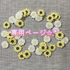 専用ページ✩.*˚