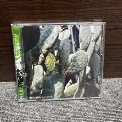 Climb The Mind/繋がる瞬間にシャッターを