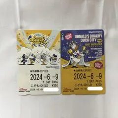 ディズニー リゾートライン フリーきっぷ ドナルド ディズニーショップ 号外