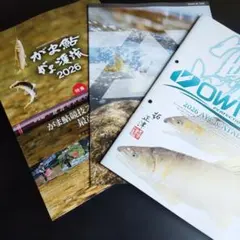 Item thumbnail for item 50fd6157-206d-48d5-870a-31a605a7a948