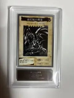 希少/ARS8】真紅眼の黒竜 レッドアイズ バンダイ カードダス 1999年