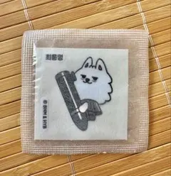 TXT 韓国 CU ステッカー PPULBATU ヨンモン