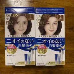 新品 サロンドプロ ニオイのない白髪染め 2より明るいライトブラウン×2箱