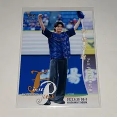 2026年最新】北海道日本ハムファイターズ 埼玉西武ライオンズの人気