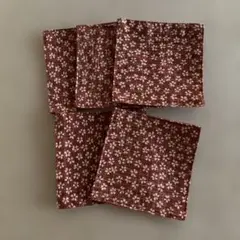 Item thumbnail for item 7983028a-3fe5-4a5b-b2fa-b5eb03031144