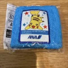 Item thumbnail for item cd5e1903-9065-485e-83b8-c7062f51796f