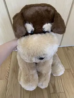 Item thumbnail for item edc254e8-e473-4b10-933e-90e83a1aacc2