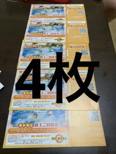 東京サマーランド 1Dayパス 5枚 - メルカリ