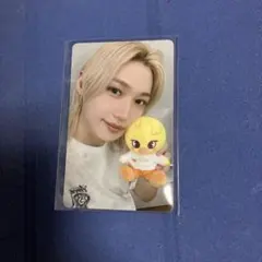 straykids フィリックス ズートピア 特典 トレカ