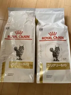 Item thumbnail for item 1844aa7d-3115-41ef-8b42-8bc5e64c7c51